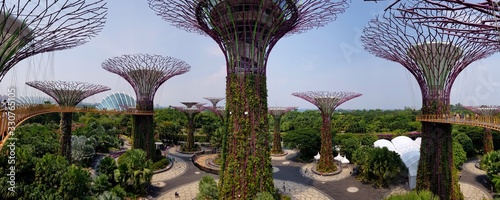 Panoramic view gardens by the bay Singapore photo