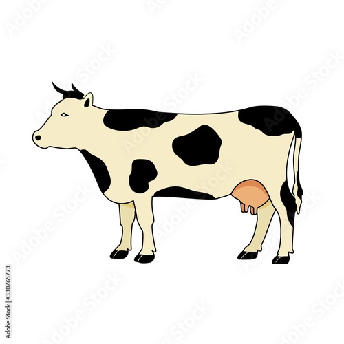 Cow color silhouette. Flat vector illustration on white background.