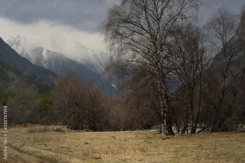 Obraz premium Spring in mountains