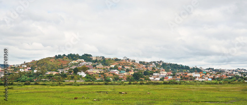 Typical landscape of Madagascar on overcast cloudy day - livestock grazing at wet rice fields in foreground, houses on small hills of Antananarivo suburb