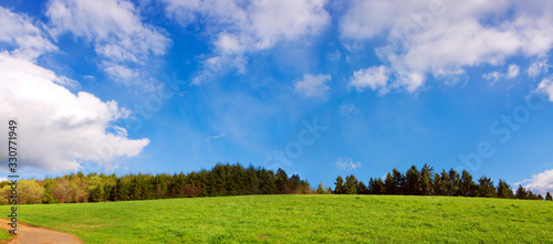 Spring Grass Field Landscape and blue sky.
