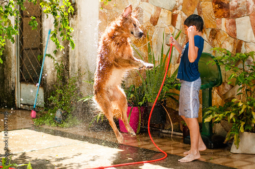 boy playing with his golden retriever dog in tne water