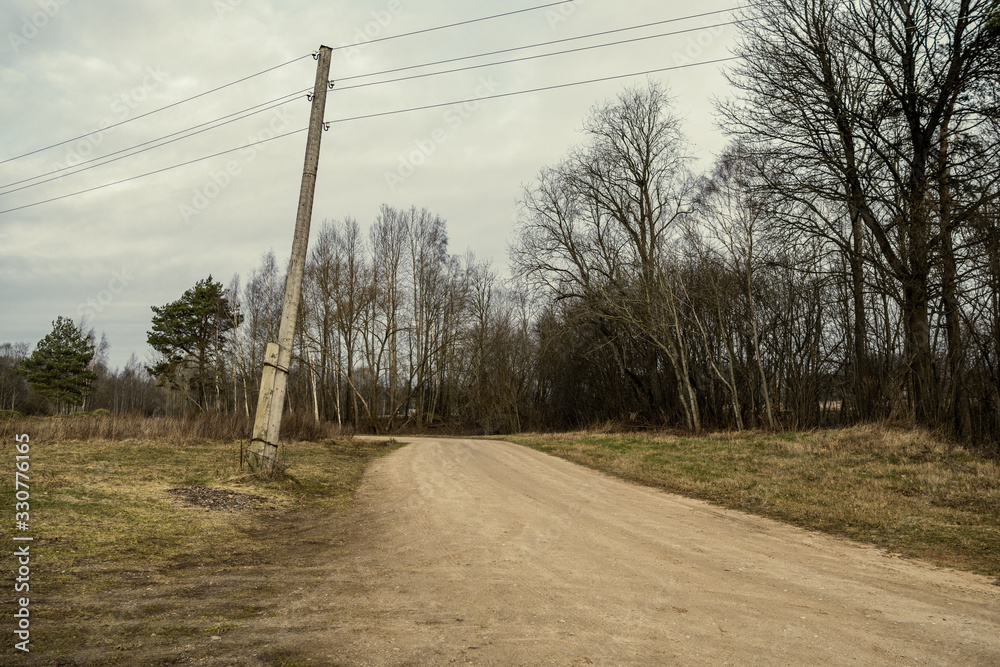 gravel dirt road in the forest