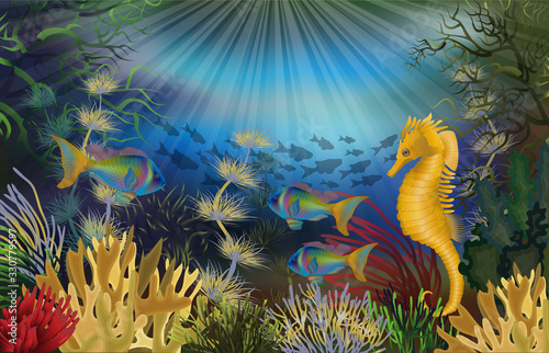 Underwater wallpaper with seahorse, vector illustration