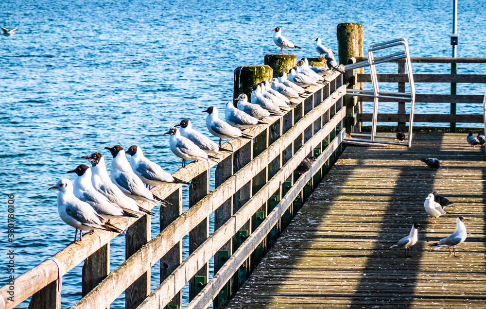 Obraz premium old wooden jetty at a lake