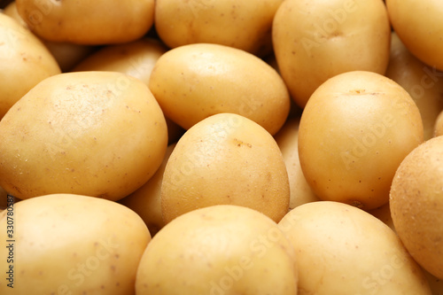 Young potato on whole background, close up