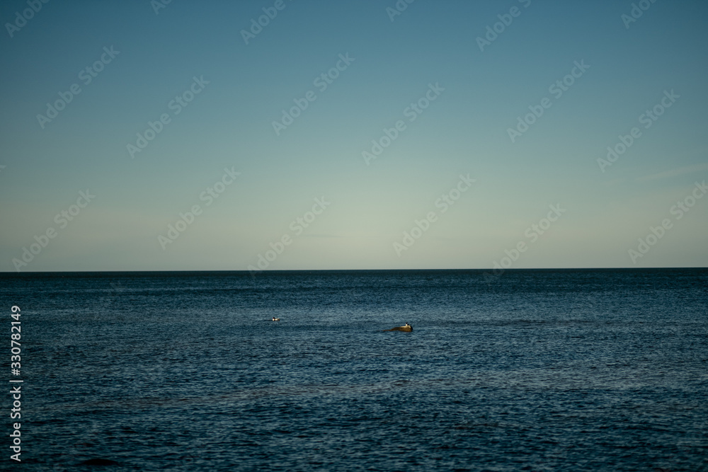 sunny beach with blue water and large rocks in the sand sunny beach with blue water and large rocks in the sand