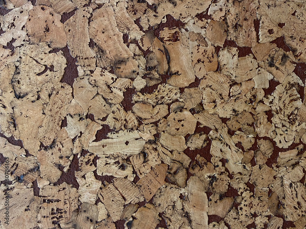 Natural wooden pith a texture a beige background Natural wooden pith a texture a beige background