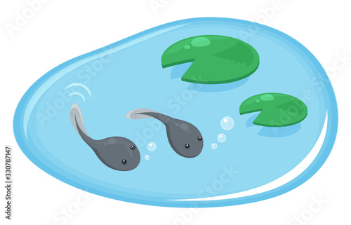 おたまじゃくしのイラスト
