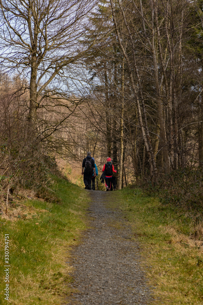 Hikers walking down a path through a forest with trees and grass