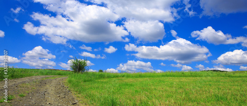 Rural road with green field and white big clouds.