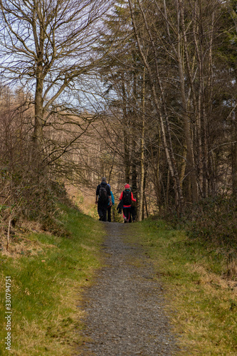 Hikers walking down a path through a forest with trees and grass © stevie