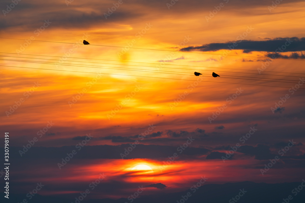 Birds silhouettes on the wire. Beautiful colorful bright sunset sky with orange clouds. Nature sky background. 