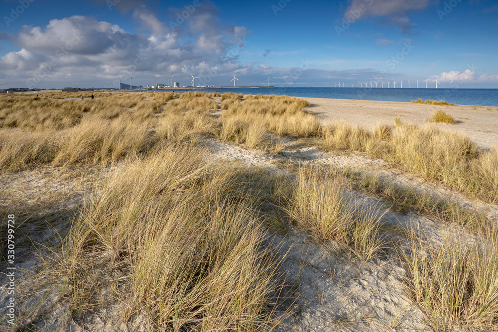Amager Strandpark Amager Strandpark