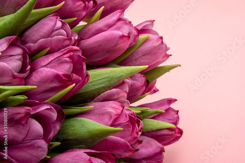 bouquet of pink tulips/ Easter day background. Bouquet of tulips on a pink background, web banner