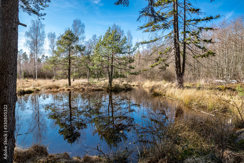 Spiegelung im Birkensee im Naturpark Schönbuch Spiegelung im Birkensee im Naturpark Schönbuch