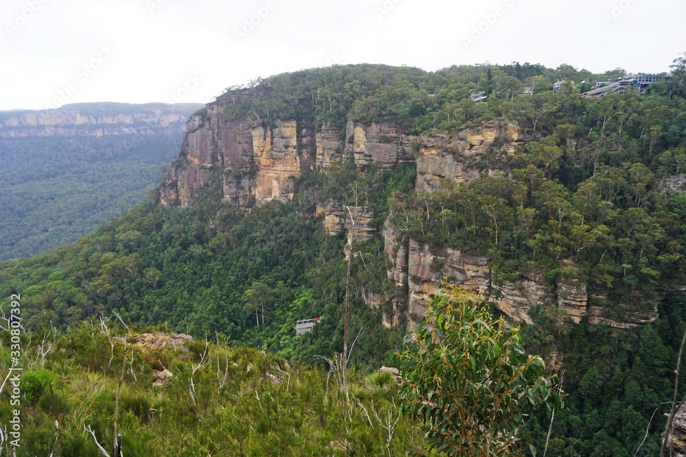 Nature photography from Blue Mountains, Australia