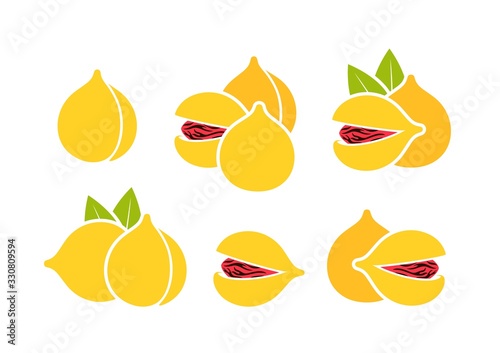 Nutmeg logo. Isolated nutmeg on white background