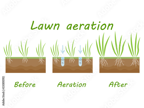 Lawn aeration stage illustration, lawn grass. Before and after stage vector, process of aeration isolated on white background