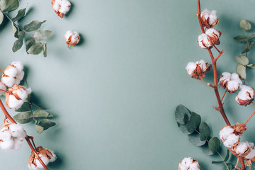 Flowers composition. Frame made of cotton flowers and eucalyptus branches on pastel blue background. Flat lay, top view. Frame with copy space