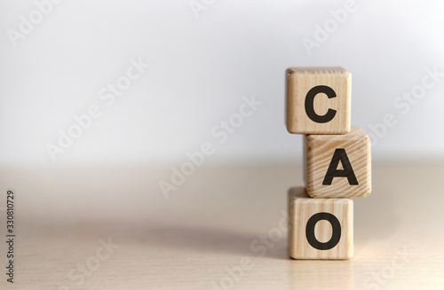 CAO - Chief Accounting Officer - text on wooden cubes, on wooden background