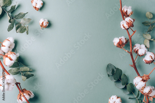 Flowers composition. Frame made of cotton flowers and eucalyptus branches on pastel blue background. Flat lay, top view. Frame with copy space