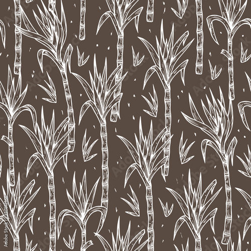 Hand Drawn Sugarcane Plants Vector Seamless Pattern. Sugar cane stalks with leaves endless background