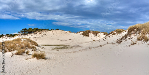 Sand dunes in Dueodde  Bornholm island  Denmark