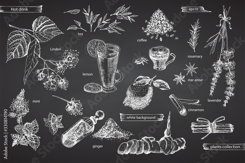 Set vintage hand drawn sketch hot drinc elements isolated on black chalk board background. Star anise, cinnamon, lavender, rosemary, lemon, ginger, coffee, tea, mint, Linden. Graphic illustration art.