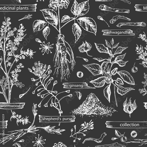 Seamless pattern with vintage hand drawn sketch medicine herbs elements isolated on black chalk board background. wormwood, turmeric, tansy, ashwagandha, shepherds, purse, ginseng