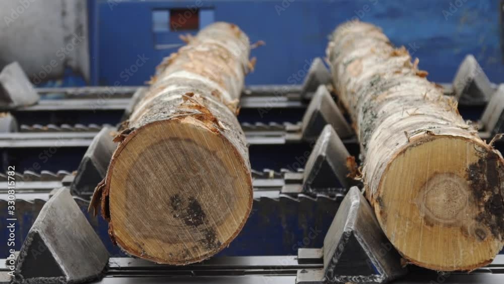 Automated log sorting line. Wheel loader and automatic sorting logs diameter at the sawmill. Lumber industry.