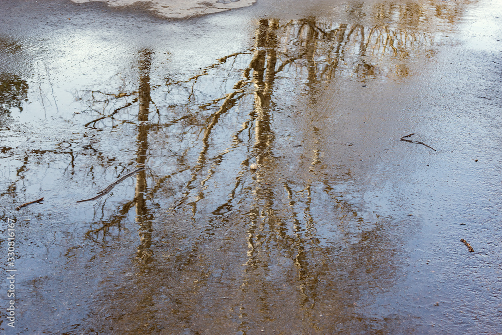 Obraz premium Trees reflection in the puddle on the asphalt road.