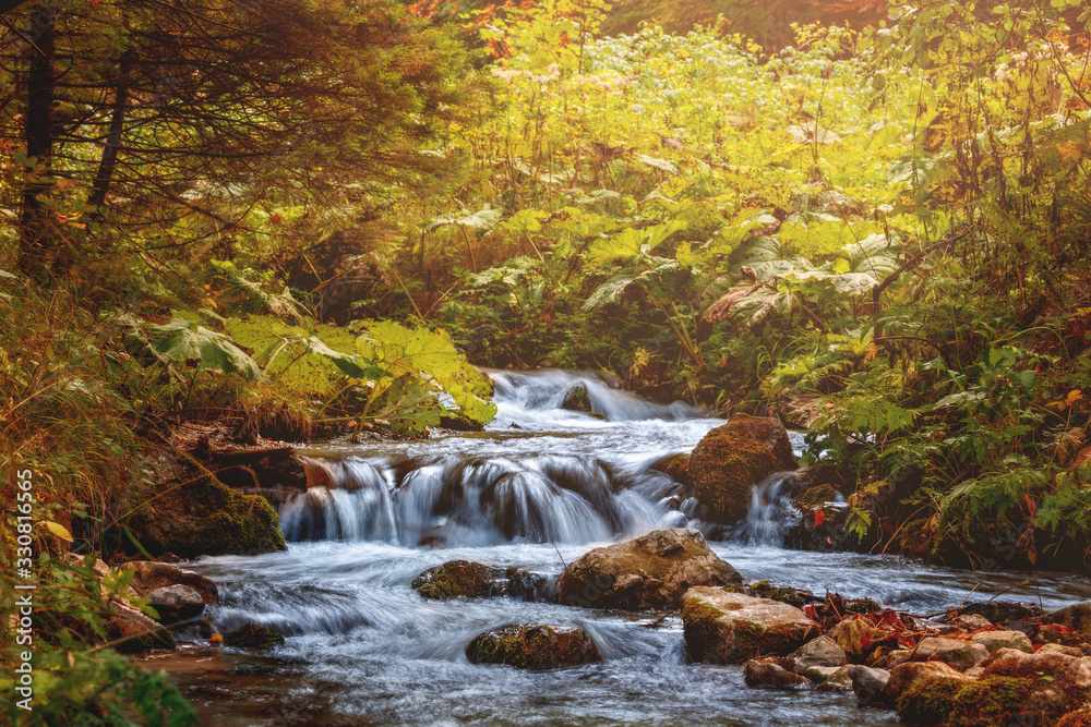 Stream with waterfall during autumn