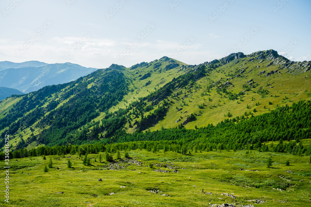 Scenic alpine landscape with green mountainside with conifer forest and big crags. Vivid green mountain scenery with coniferous trees and big rocks on hillside. Big stones and trees on steep slopes.