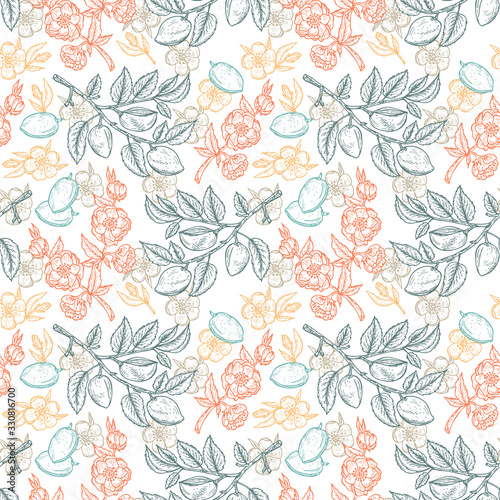 Wallpaper Mural Hand drawn Almond Seamless pattern. Flowers, Branches with leaves and immature fruit. Floral background. Vector illustration. Torontodigital.ca