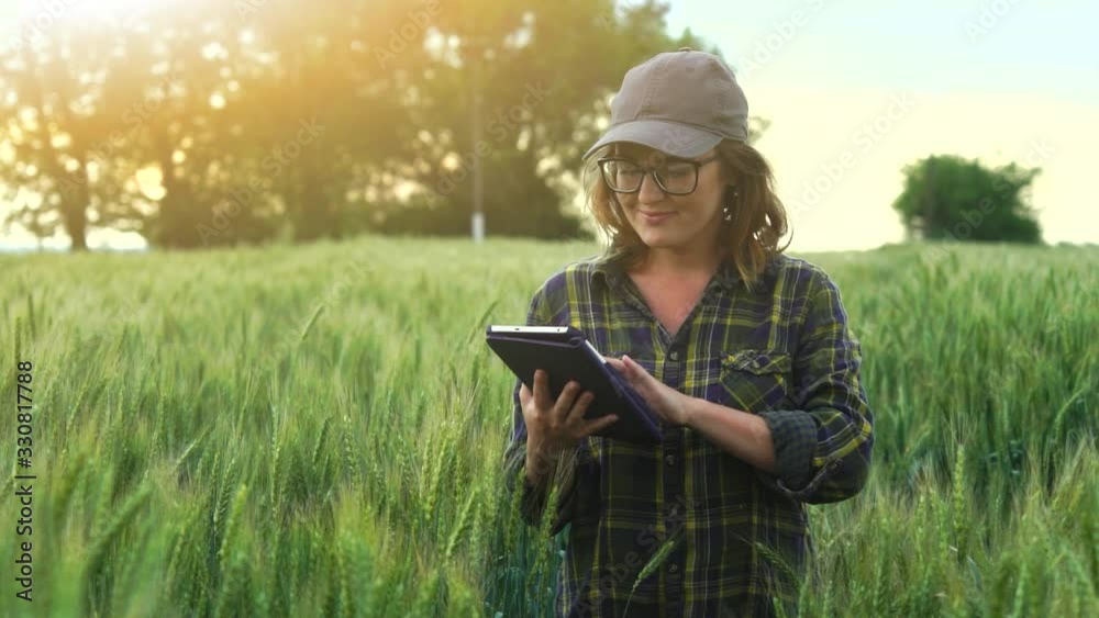 Farmer in a wheat field uses a digital tablet. Slow motion Farmer in a wheat field uses a digital tablet. Slow motion