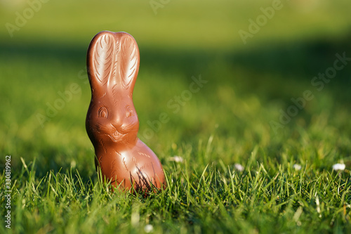 easter, sweets and confectionery concept - chocolate bunny on grass with blurred background, easter bunny
