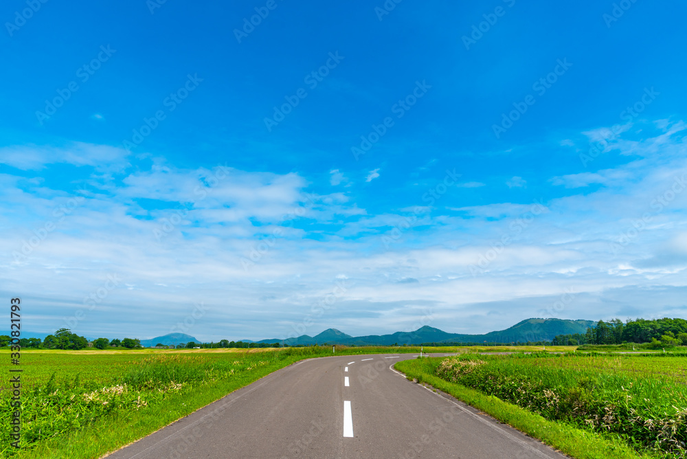 Rural asphalt road among the fields in summer season