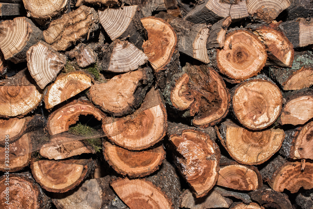 firewood, Background of dry chopped firewood logs. Preparing firewood for the winter. Firewood background, Stacks of firewood in the forest. Firewood firewood, Background of dry chopped firewood logs. Preparing firewood for the winter. Firewood background, Stacks of firewood in the forest. Firewood