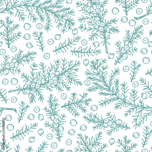 Medicinal plants Seamless pattern. Hand Drawn Juniper branch, Leaves and Berries. Alternative medicine. Biological additives are. Traditional herbal therapy. Vector illustration