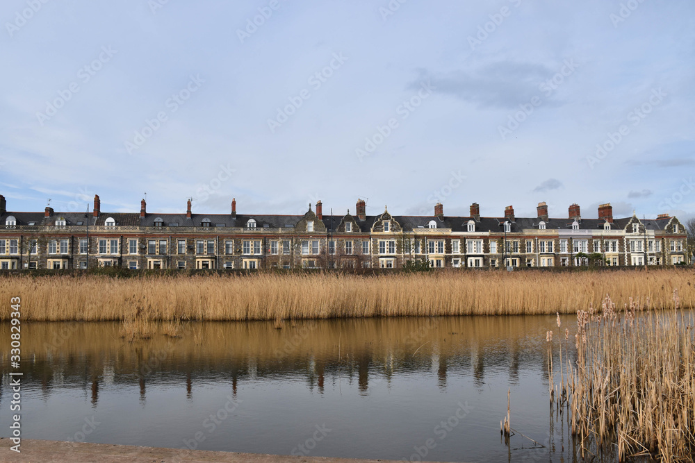 row of houses on the bank of a river with plantations