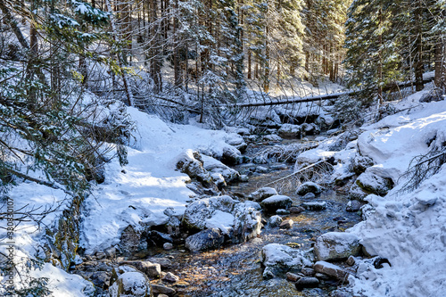 Koscieliski Stream in winter, Koscieliska Valley, Tatra Mountains, Poland