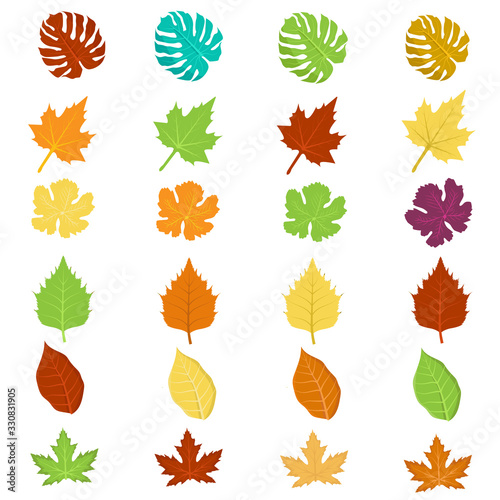 leaf vector colorful premium vector