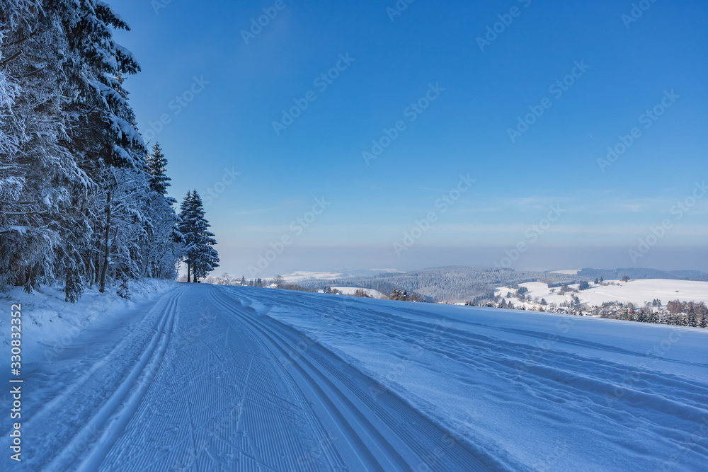 Wintry forest