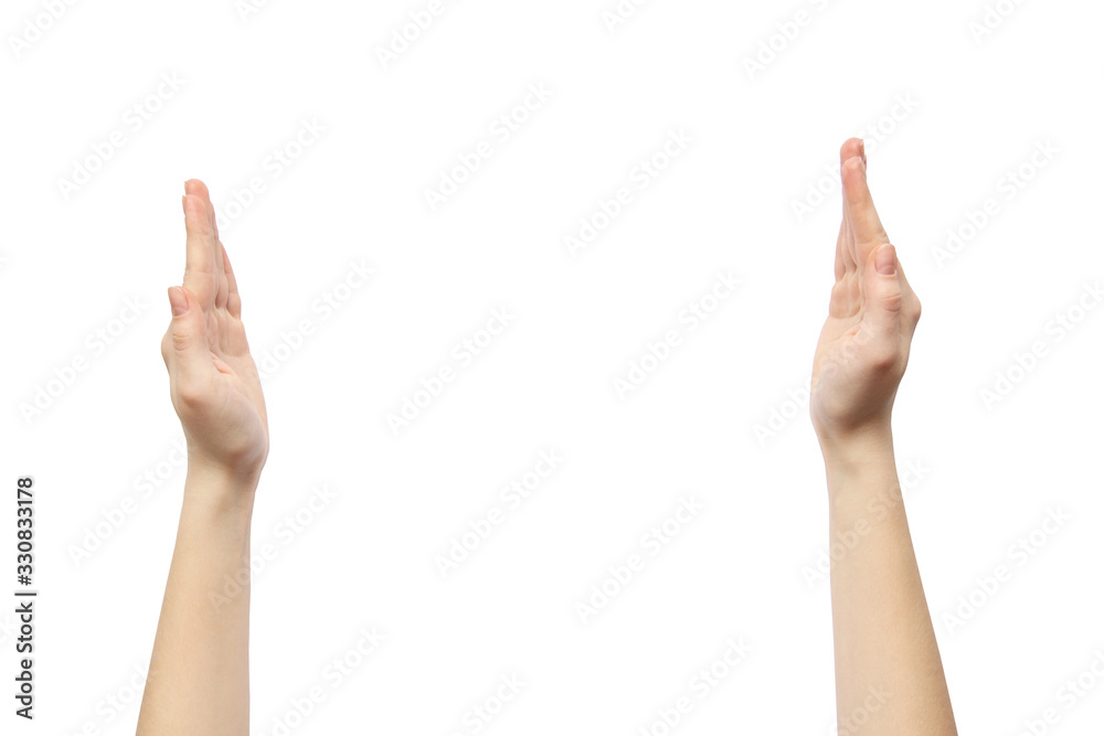 Hands on a white background. Female hands Hands on a white background. Female hands