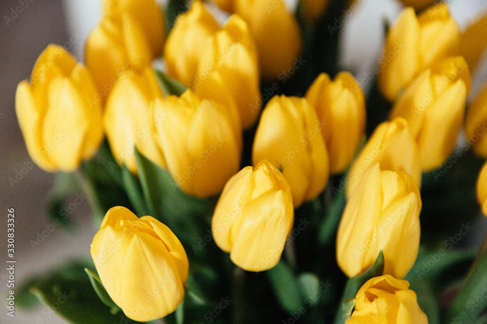 Obraz premium Bunch of yellow tulips on the table