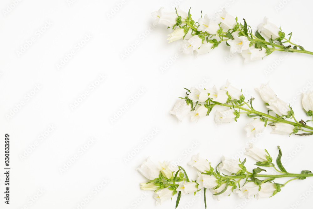 White romantic blooms on a bright background White romantic blooms on a bright background