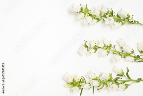 White romantic blooms on a bright background