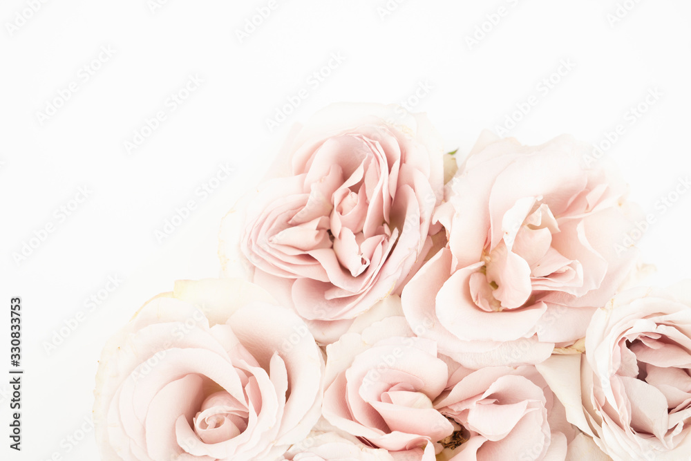 Blush roses on white background feminine flat lay