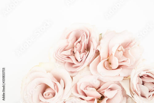 Fototapeta Naklejka Na Ścianę i Meble -  Blush roses on white background feminine flat lay